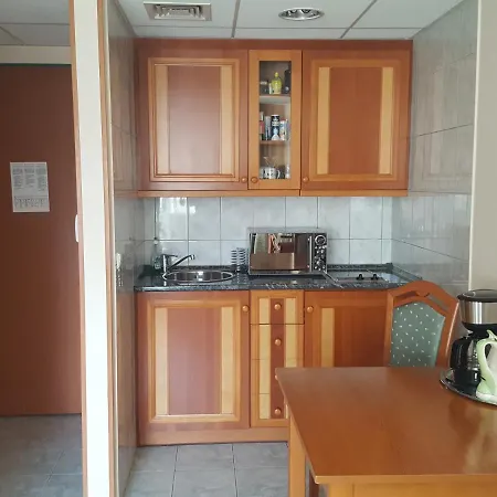 公寓 赫维兹宫殿康体公寓 Hévíz