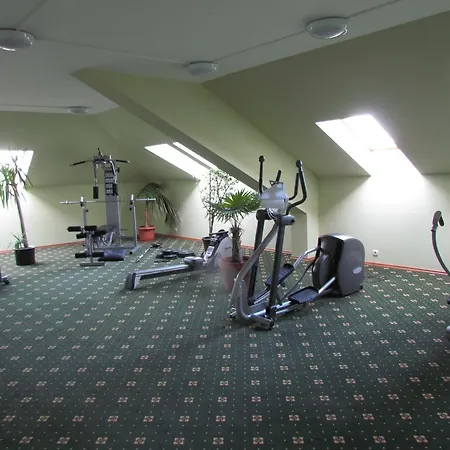 Palace Wellness Apartman